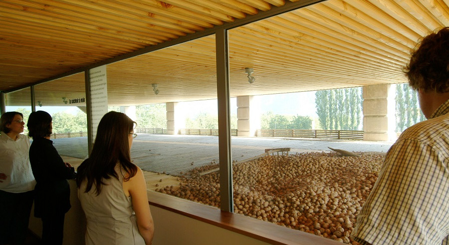 Visite guidée gourmande AOUT