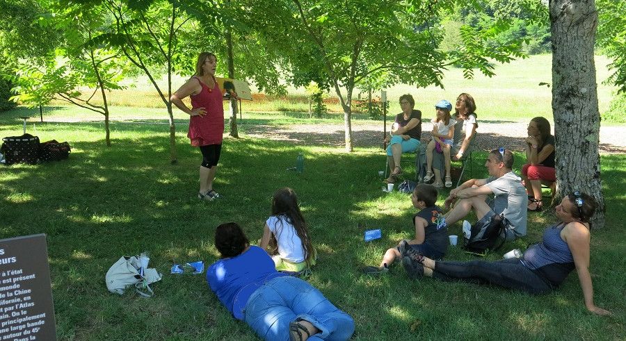 Histoires à l'ombre des noyers - jeune public